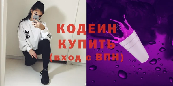 молекула духа Бронницы