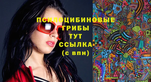 мдпв Богданович
