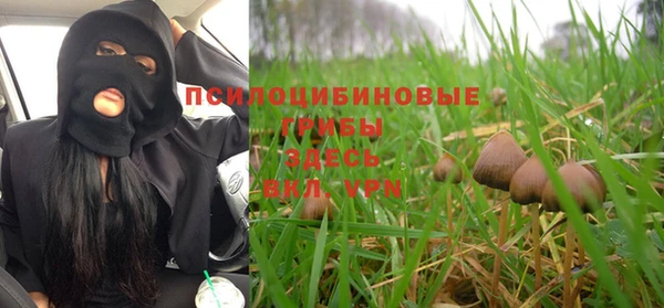 молекула духа Бронницы