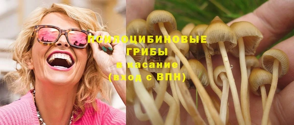 молекула духа Бронницы